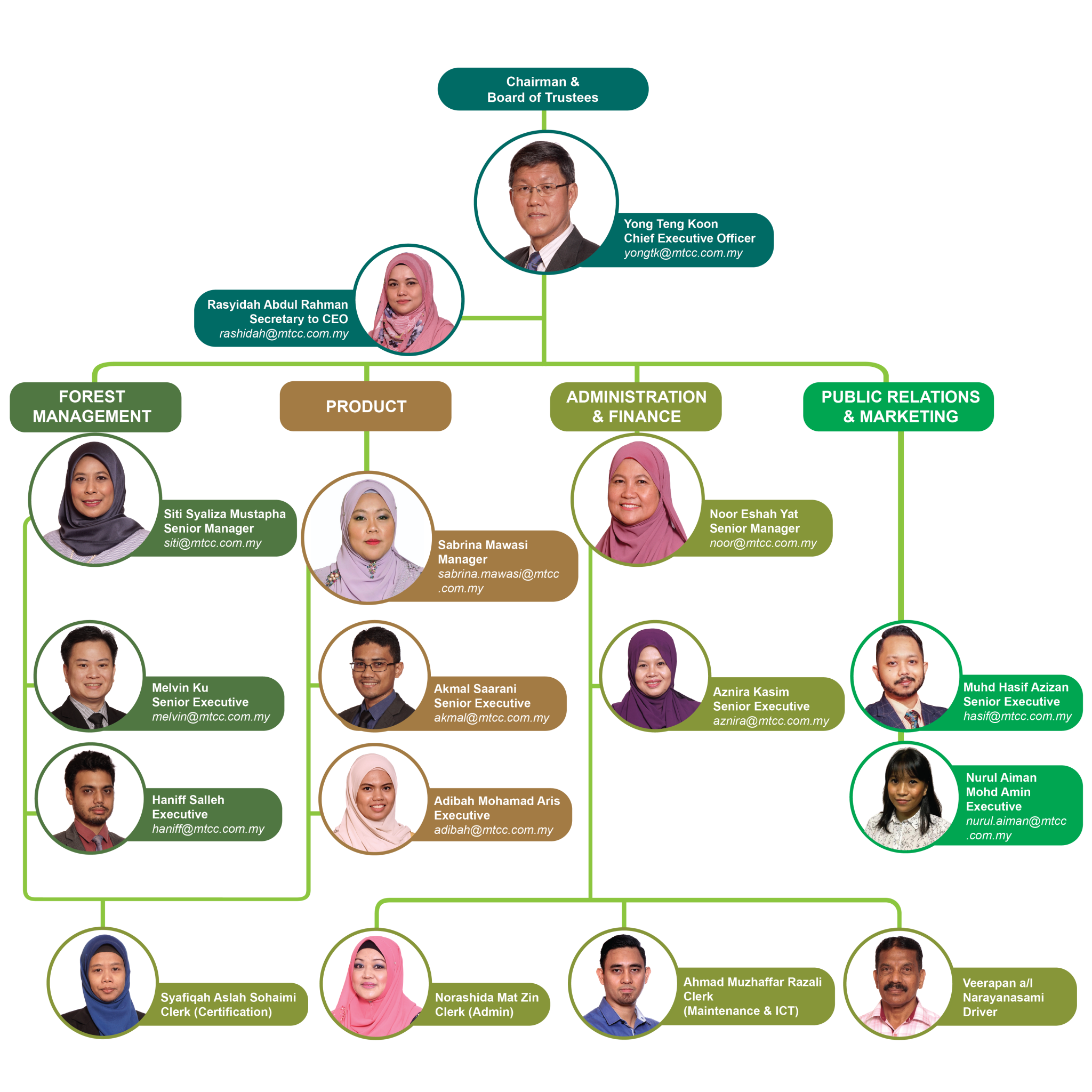 Organisation Structure MTCC